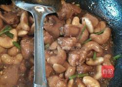 菱角烧鸡翅的做法图解4