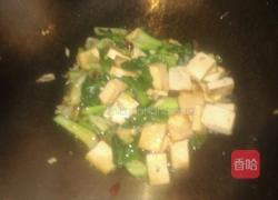 家常油菜烧豆腐的做法图解4