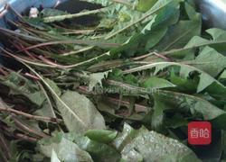 凉菜婆婆丁的做法图解1