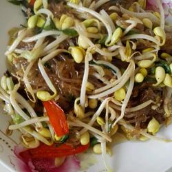 豆芽炒粉条的做法[图]
