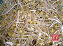 豆芽炒肉片的做法图解1