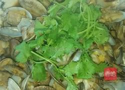 辣炒蛤蜊的做法图解8