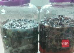 自制葡萄酒的做法图解4