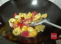 双椒蘑菇焖鸡块的做法图解8