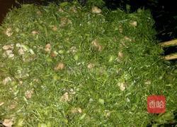 茴香肉丁发面饼的做法图解9