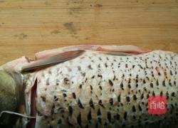 糖醋脆皮鱼的做法图解1