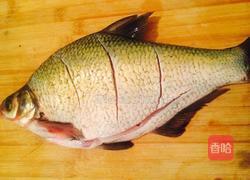 干烧鳊鱼的做法图解1