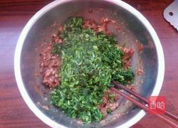 牛肉茴香馅饺子的做法图解4