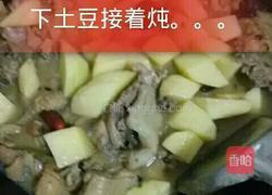 土豆蘑菇炖鸡块的做法图解7