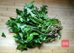 凉拌蒲公英的做法图解1