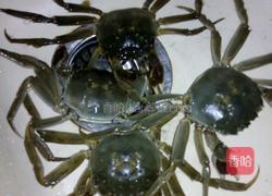 干锅香辣虾的做法图解2