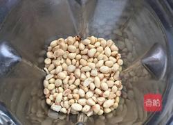 香浓花生酱的做法图解2