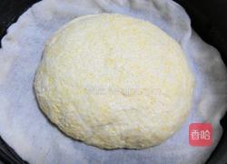 混合面红枣发糕的做法图解6