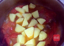 番茄炖牛肉的做法图解6