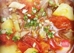 番茄炖牛肉的做法图解8