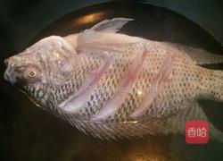 酱汁吴郭鱼的做法图解3