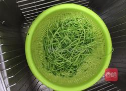 凉拌洋葱豌豆苗的做法图解4