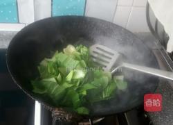 油菜烧豆腐的做法图解4