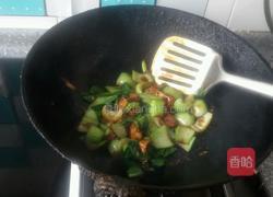 油菜烧豆腐的做法图解5