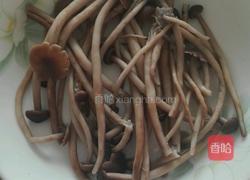 洋葱炒茶树菇的做法图解4