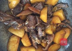 狗肉炆土豆的做法图解7