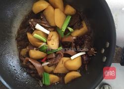 狗肉炆土豆的做法图解8