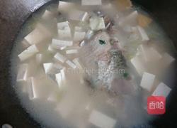 鲫鱼豆腐汤的做法图解9