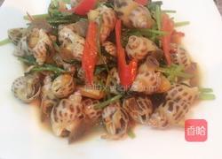 爆炒花螺的做法图解10