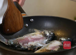 萝卜丝炖鲫鱼汤的做法图解5