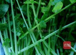 素炒萝卜叶的做法图解1