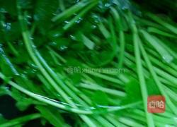 素炒萝卜叶的做法图解2