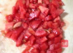 西红柿烧豆腐的做法图解2