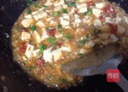 西红柿烧豆腐的做法图解6