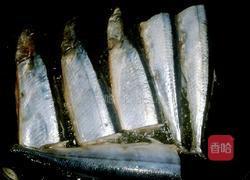 煎焗秋刀鱼的做法图解3