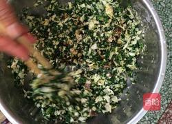 荠菜水饺的做法图解3