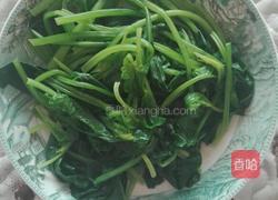 花生芝麻炒菠菜的做法图解4