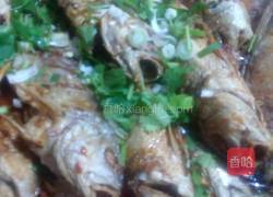 豆豉小黄鱼的做法图解10