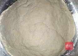 萝卜丝猪肉包的做法图解1