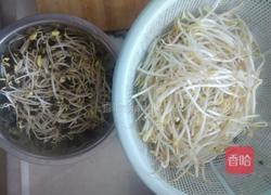 双色豆芽的做法图解2