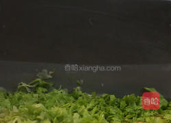 生菜腐竹汤的做法图解1