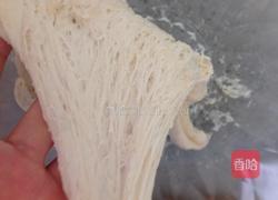 葡萄干吐司(中种)的做法图解1