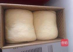 葡萄干吐司(中种)的做法图解7