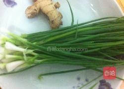 白灼鲜鱿鱼的做法图解2