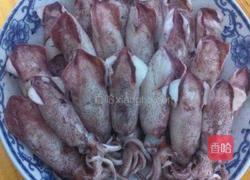 白灼鲜鱿鱼的做法图解7