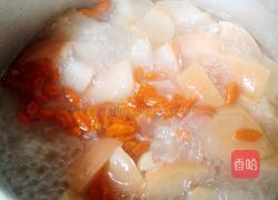 银耳煲梨水的做法图解6