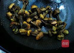 姬松茸炒肉的做法图解12