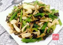 芹菜 白玉菇的做法图解6