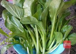 油渣炒菜心末的做法图解1