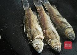 鲫鱼汤的做法图解3