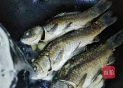 鲫鱼汤的做法图解6